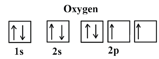 16 Electronic Configurations Hunds Rule Chemistry ...