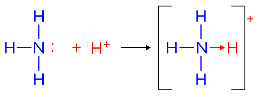 How did nitrogen bond with 4 hydrogen in NH4 when ...