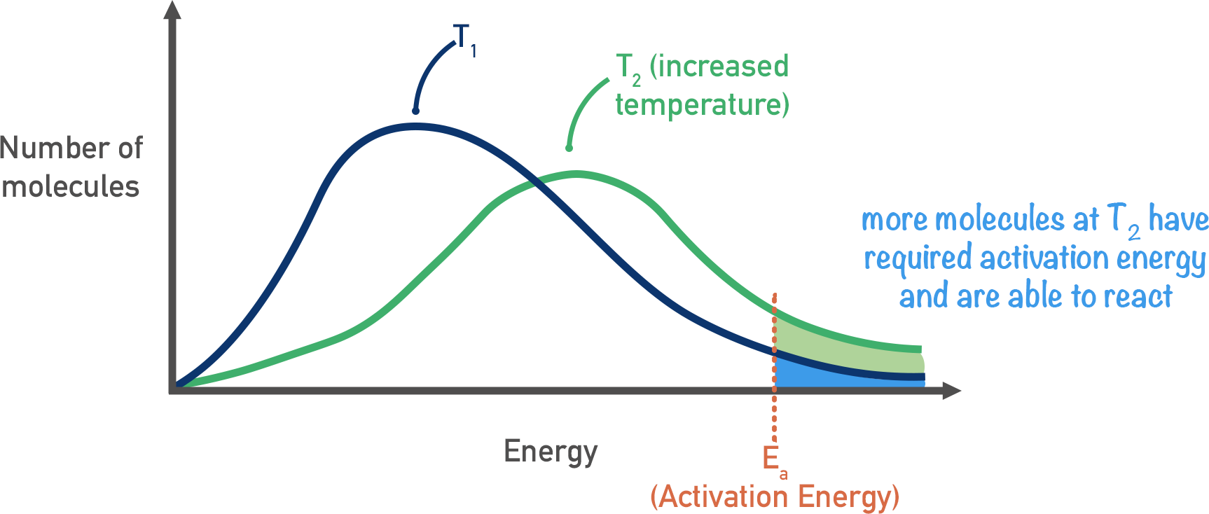 Boltzmann Distribution Curves ALevel ChemistryStud...