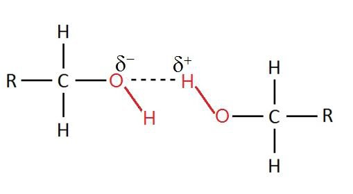 Why is hydrogen bonding percent in alcohol but abs...