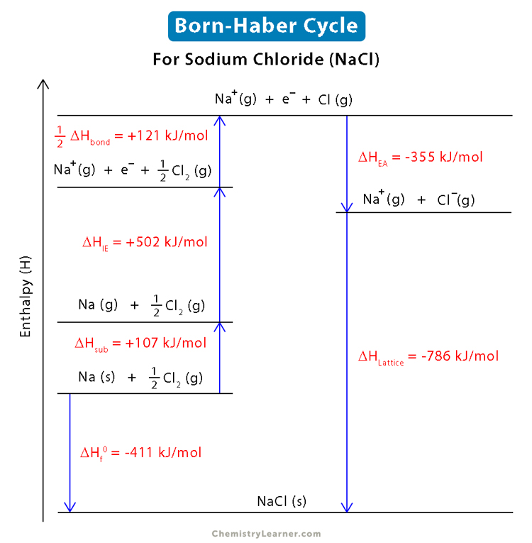 BornHaber Cycle Definition Steps Formula and Examp...