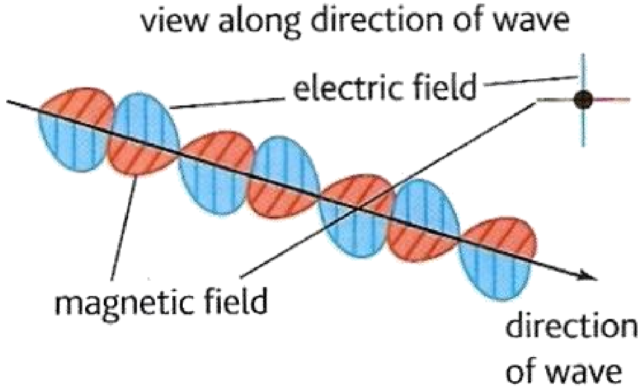 Exported image|312x188