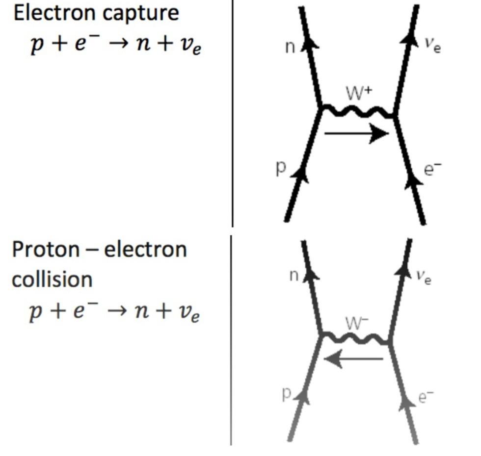Solved Can you explain why the exchange particles ...|353x335