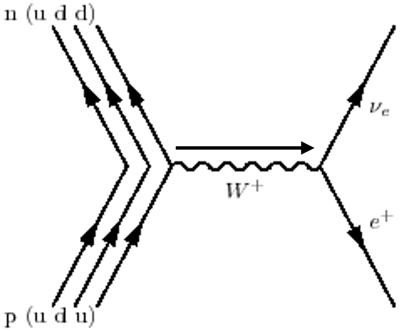 Exported image|296x238