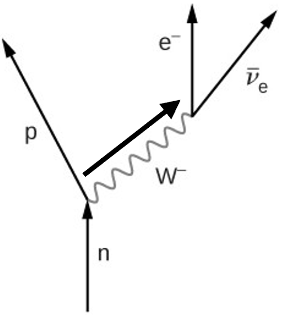 Exported image|203x226