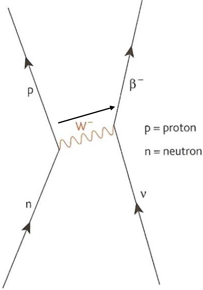 Exported image|257x366