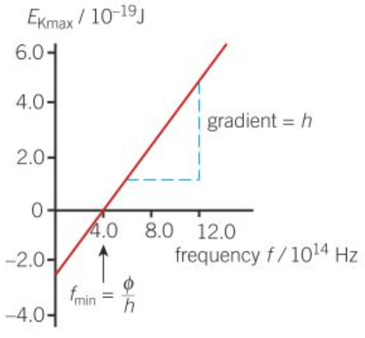 Exported image|307x284