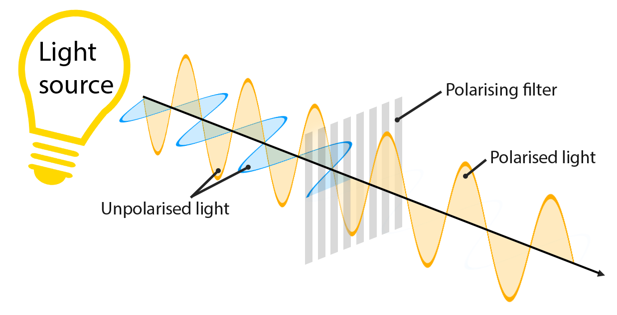 Linear polarized 3D glasses and the physical shape...|500x256