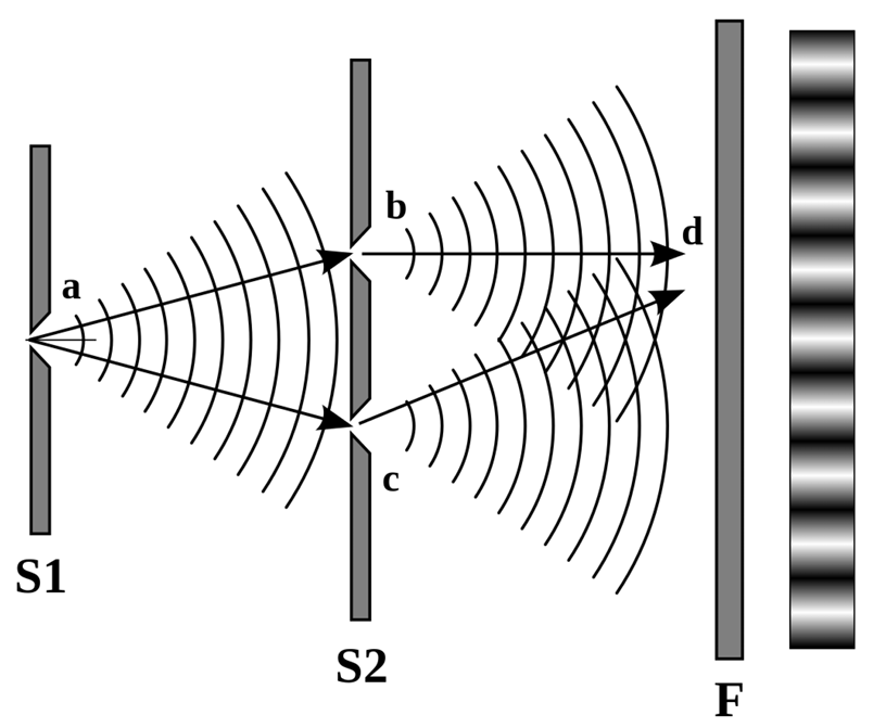 Exported image|347x285