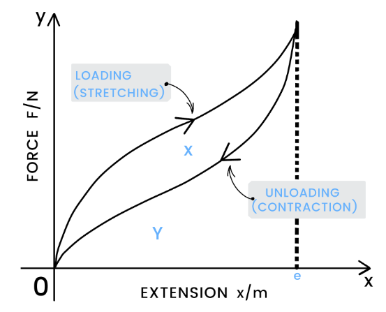 Energy Springs and Materials Study Mind|384x310