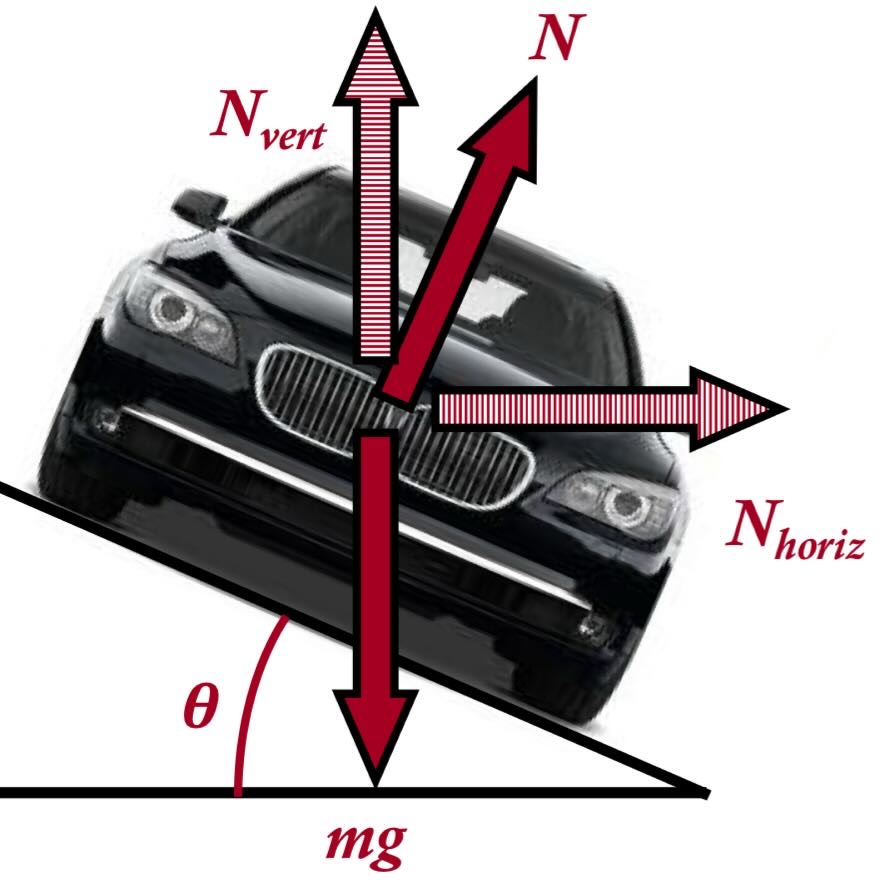 Exported image|296x296