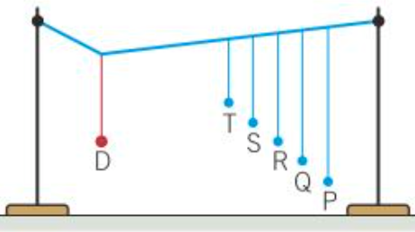 Exported image|271x152